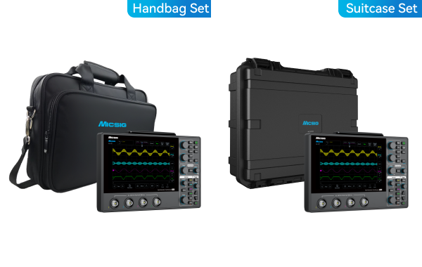 Professional Handbag/Suitcase Set